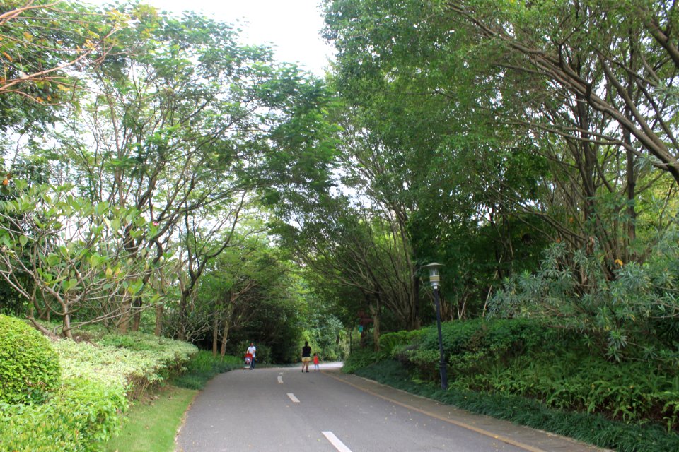 Greenway of Shenzhen International Garden and Flower Expo Park3