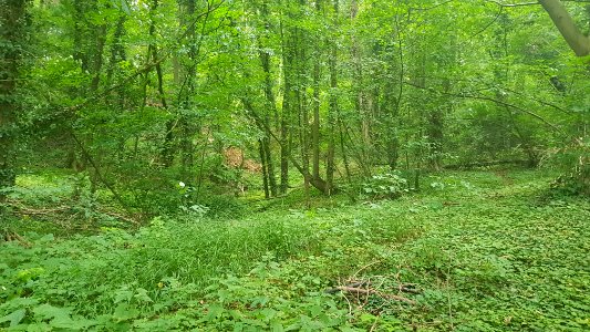 Gronsveld-Groeve de Grote Hel (1)