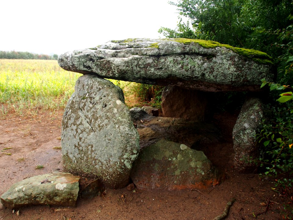 Groupe de Dolmens de Savatole, pic-005