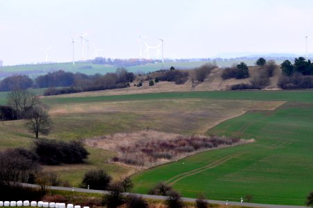 Gruenes-Band-01