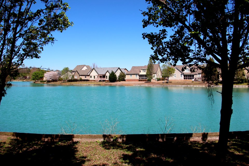 Grove Park subdivision lake, April 2017