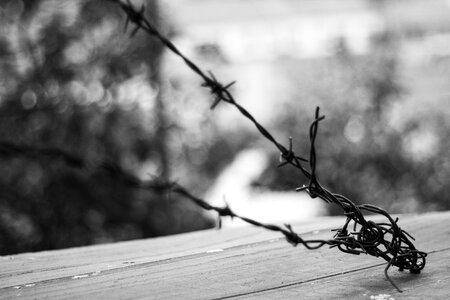 Barbed wire atmosphere architecture photo