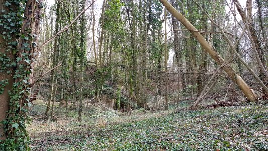 Gronsveld-Groeve de Grote Hel (6)