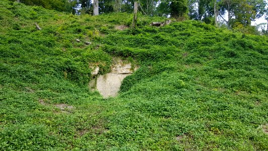 Gronsveld-Groeve boven op de Riesenberg (5)