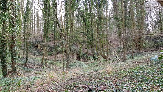 Gronsveld-Groeve de Grote Hel (7)
