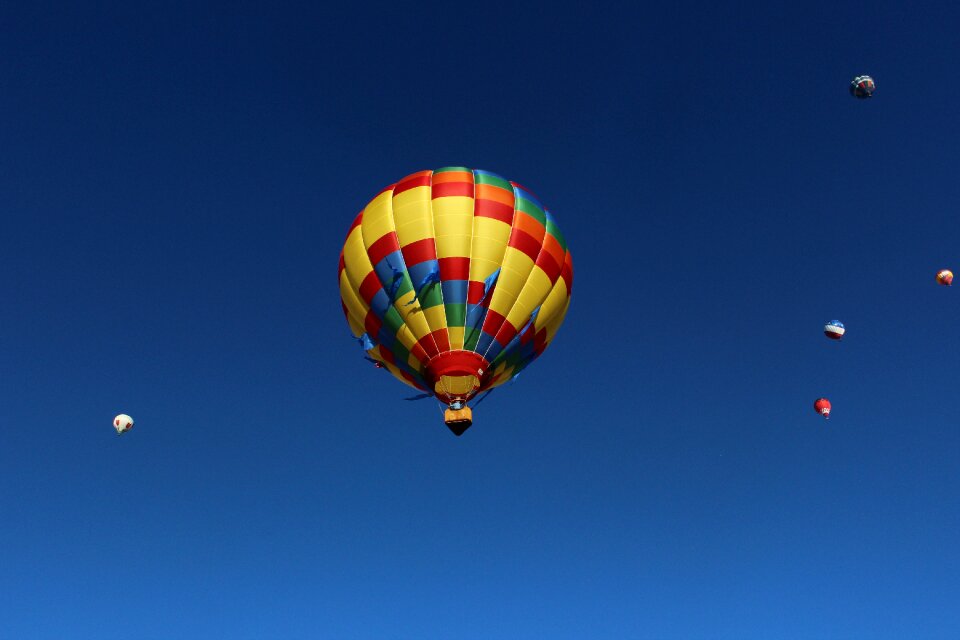 Walk blue flying