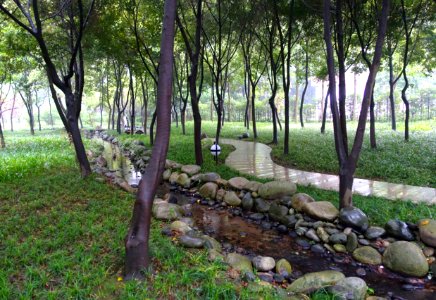 Grounds, Wangjiang Hotel - Chengdu, China - DSC02707