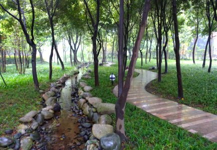 Grounds, Wangjiang Hotel - Chengdu, China - DSC02710
