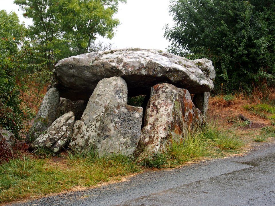 Groupe de Dolmens de Savatole, pic-001