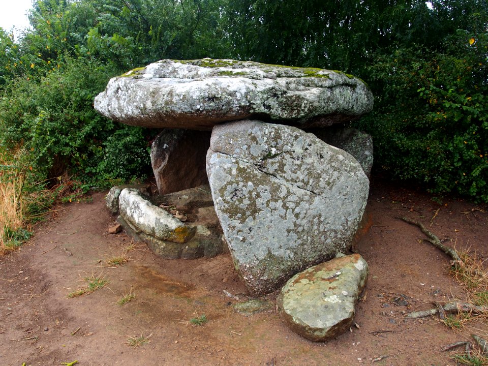 Groupe de Dolmens de Savatole, pic-006