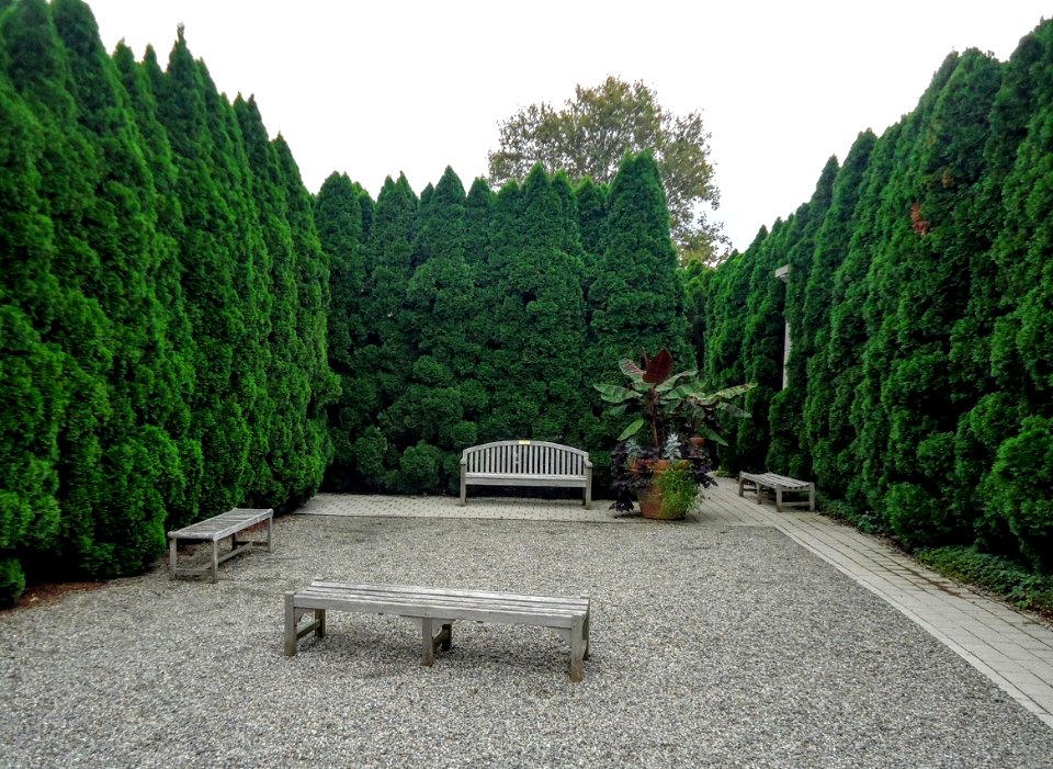 Grounds for Sculpture 6