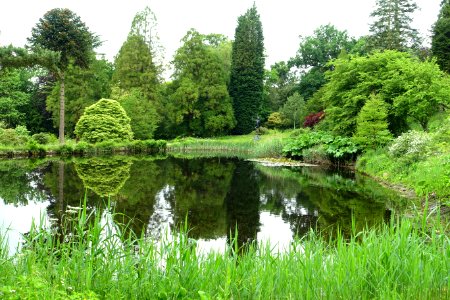Grotto pond - Chatsworth House - Derbyshire, England - DSC03614