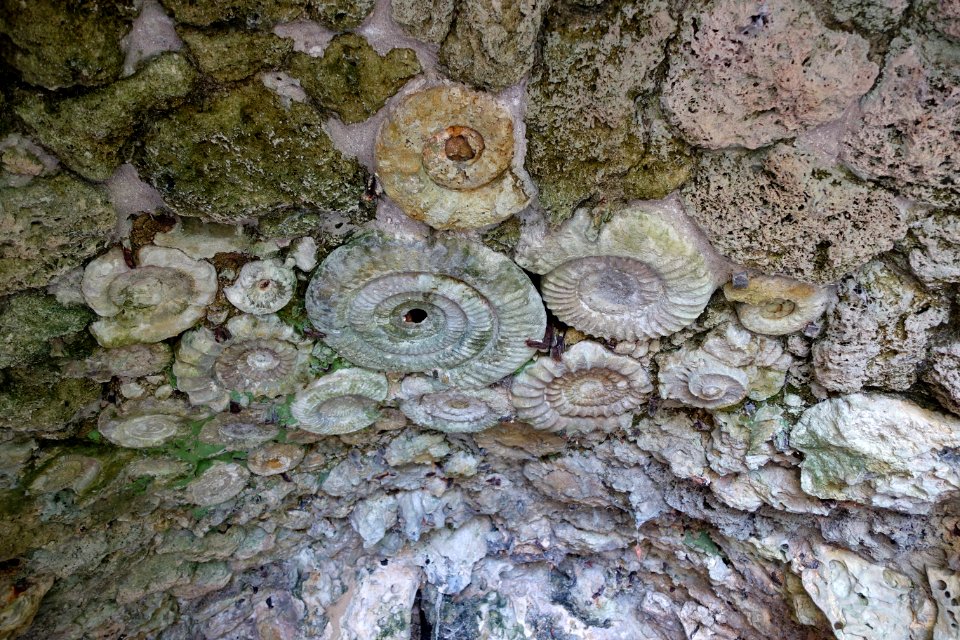 Grotto ceiling - Bowood - Wiltshire, England - DSC00575