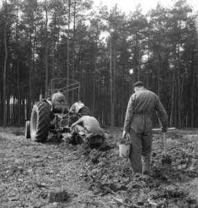 Grondbewerking, machines, werktuigen, bossen, arbeiders, zitten, emmers, gereeds, Bestanddeelnr 253-4428
