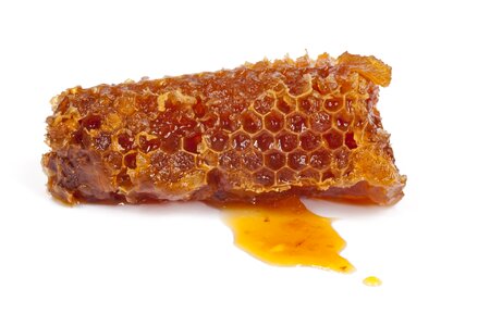 Nature pollination apiculture