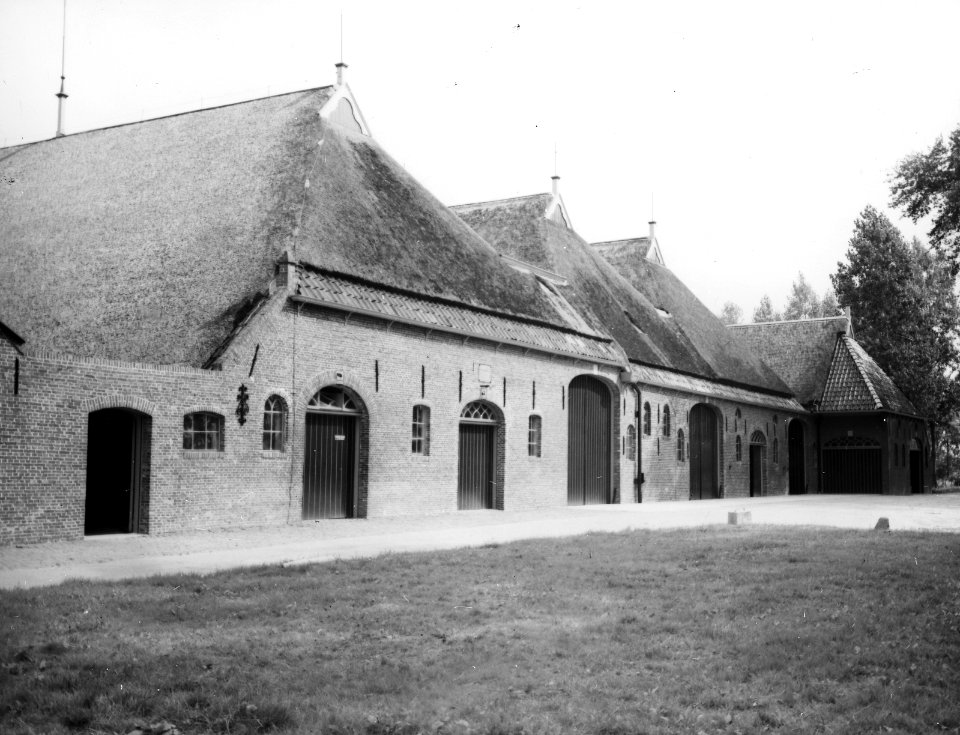 Groningse bouwboerderij bij Uithuizen, Bestanddeelnr 194-0790