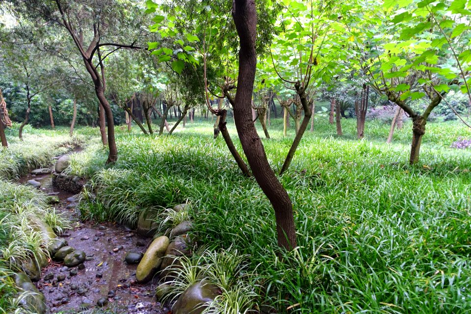 Grounds, Wangjiang Hotel - Chengdu, China - DSC02694