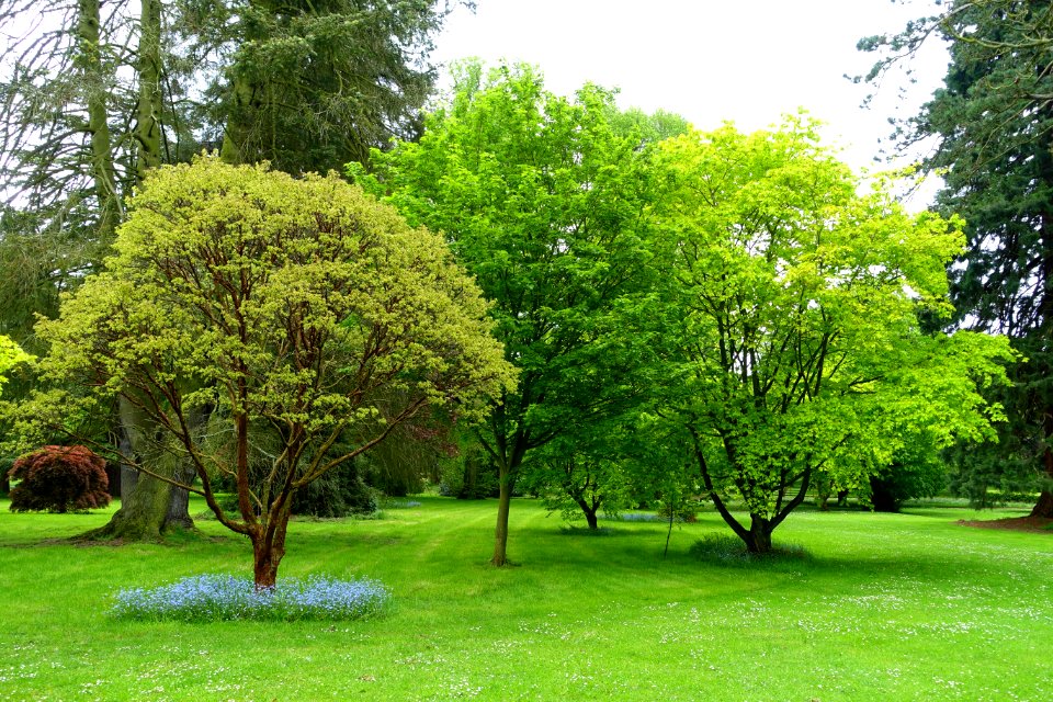 Grounds - Althorp House - Northamptonshire, England - DSC09317