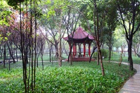 Grounds, Wangjiang Hotel - Chengdu, China - DSC02705