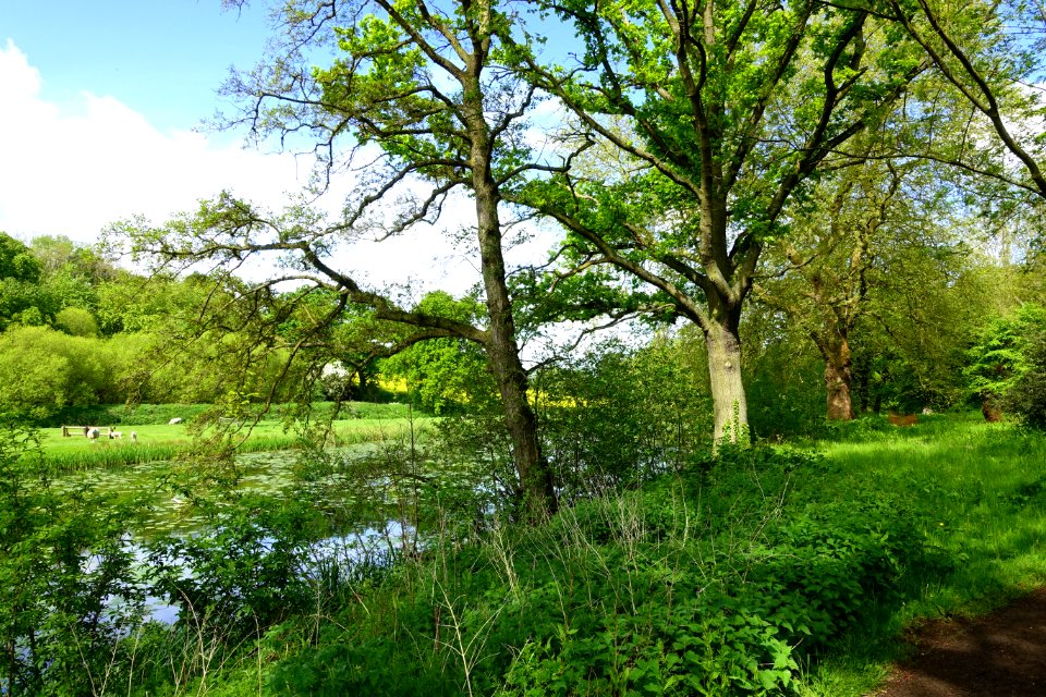 Grounds - Rushton Hall - Northamptonshire, England - DSC09342DSC09373