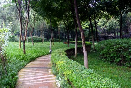 Grounds, Wangjiang Hotel - Chengdu, China - DSC02682