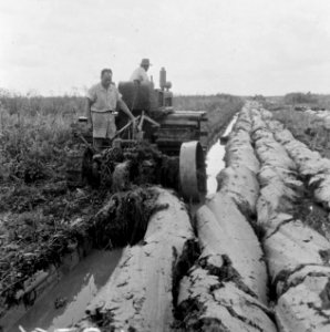 Grondbewerking, werktuigen, arbeiders, Bestanddeelnr 250-8353