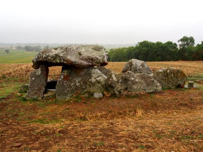 Groupe de Dolmens de Savatole, pic-009