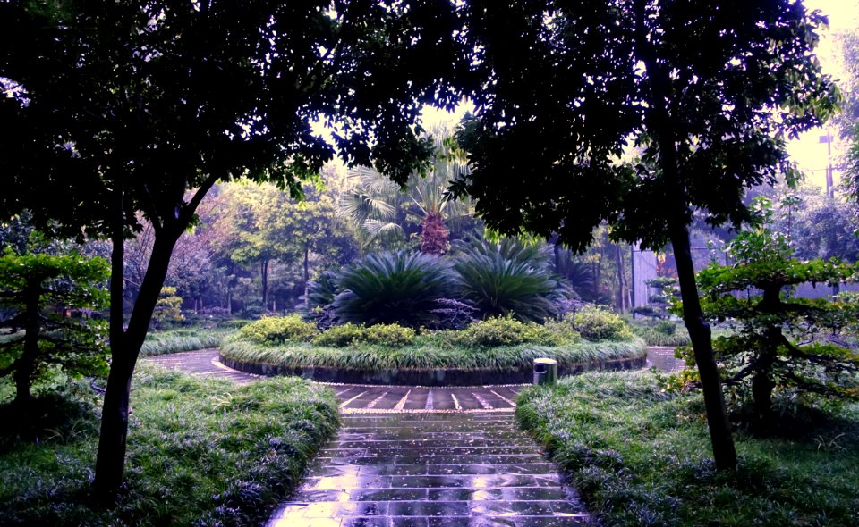 Grounds, Wangjiang Hotel - Chengdu, China - DSC02842