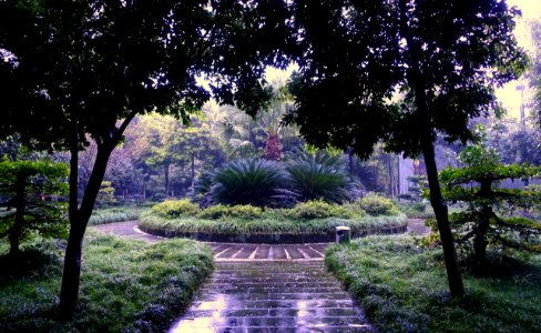 Grounds, Wangjiang Hotel - Chengdu, China - DSC02842