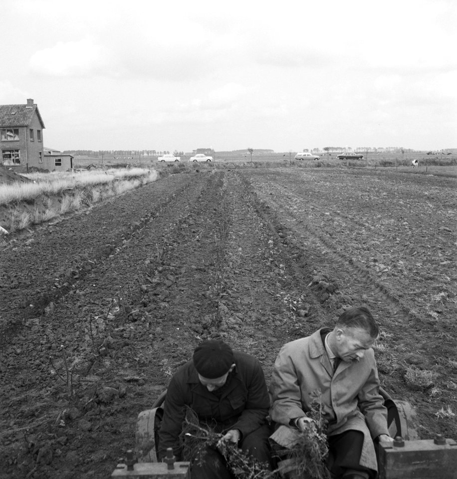 Grondbewerking, machines, werktuigen, pootwerkzaamheden, bosbouw, Bestanddeelnr 253-4640