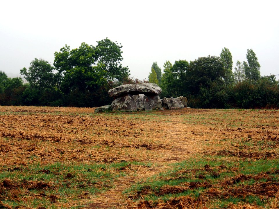 Groupe de Dolmens de Savatole, pic-007