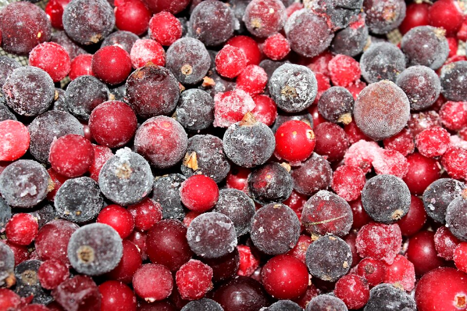 Currant red vitamins