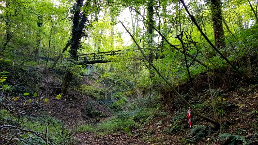 Gronsveld-Scheggelderbrug (7)