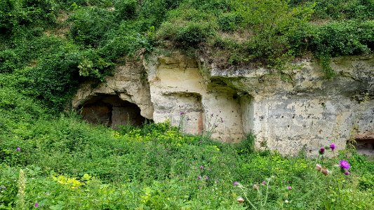 Gronsveld-Riesenberggroeve (west) (6)