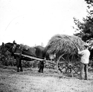 Grondbewerking , tweewielige kar, Bestanddeelnr 194-0094