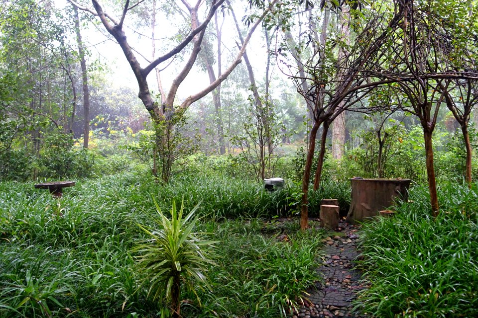 Grounds, Wangjiang Hotel - Chengdu, China - DSC02713