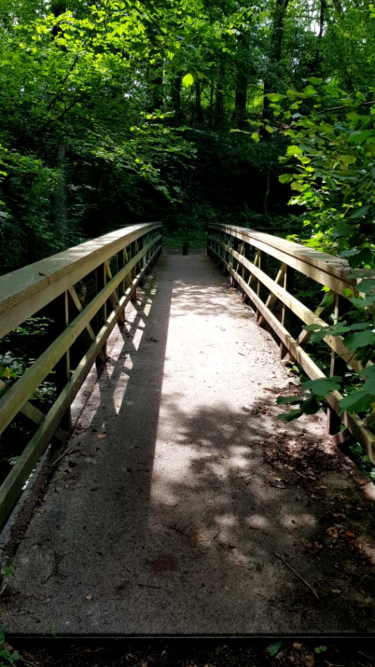 Gronsveld-Scheggelderbrug (5)