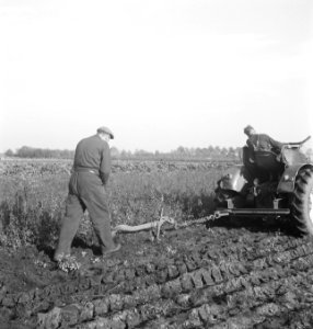Grondbewerking, arbeiders, landbouwmachines, werktuigen, ploegen, Tractors, Bestanddeelnr 253-4295