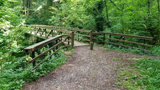 Gronsveld-Scheggelderbrug (1)