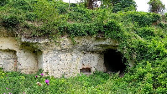 Gronsveld-Riesenberggroeve (west) (8)