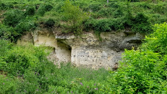 Gronsveld-Riesenberggroeve (west) (4)