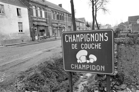 Grondverschuivingen in Belgische gemeente Zichen-Zussen-Bolder, bord Champignons, Bestanddeelnr 919-0020