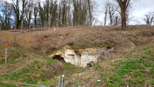 Gronsveld-Riesenberggroeve (west) (9)