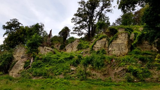 Gronsveld-Riesenberggroeve (zuid) (4)