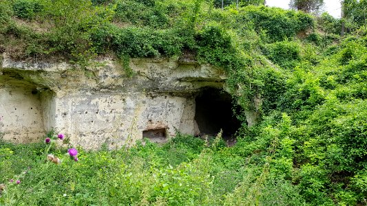 Gronsveld-Riesenberggroeve (west) (5)