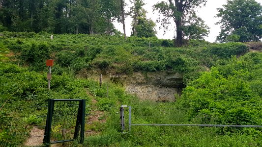 Gronsveld-Riesenberggroeve (west) (2)