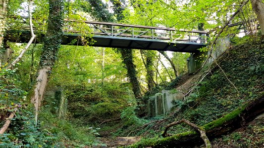 Gronsveld-Scheggelderbrug (9)