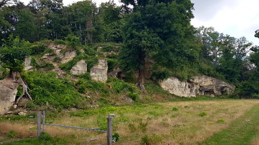 Gronsveld-Riesenberggroeve-Groeve boven op de Riesenberg (6)