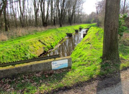 Grote Leigraaf
