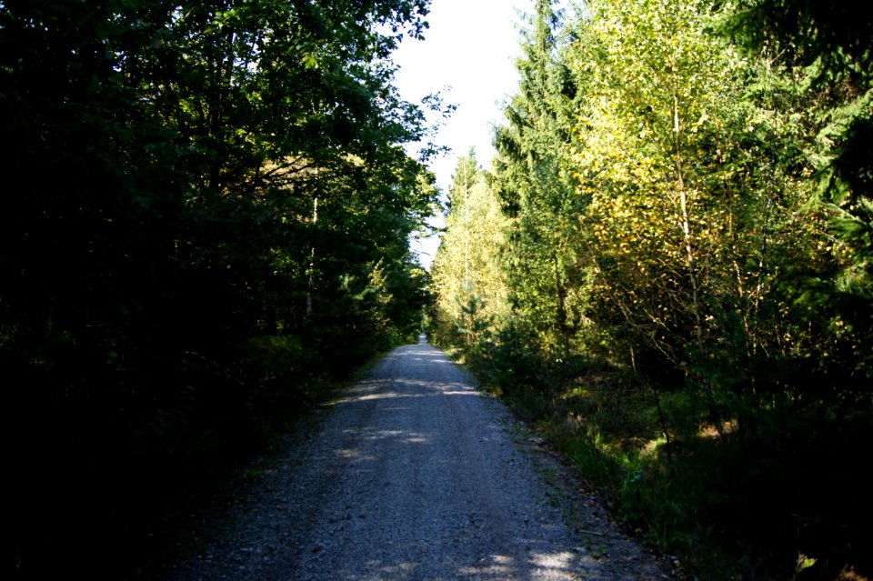 Grossroehrsdorf langer fluegel1